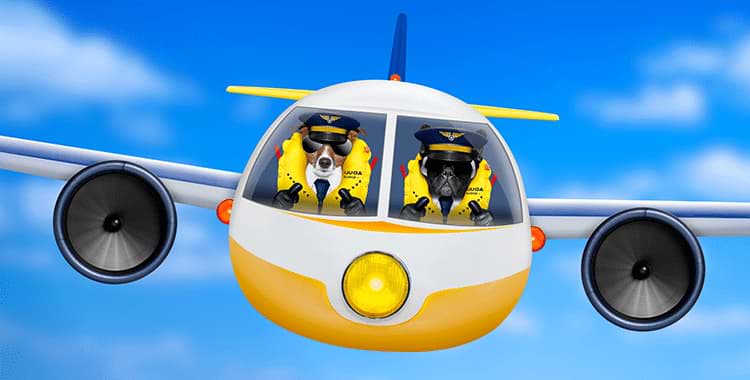 2 כלבים מצויירים מטיסים מטוס