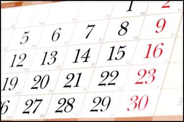 5 ימים לפני או אחרי הטיסה של חיית המחמד לאנגליה