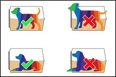 4 כלבים מצוירים בתוך כלובי הטסה מצוירים. התמונה ממחישה את הדרישות הבסיסיות לבחירת כלוב טיסה