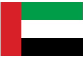 The UAE Flag