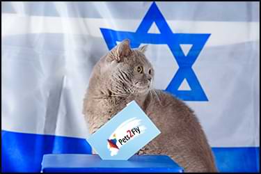 חתול עם דגל של ישראל ופתק של פטס2פליי