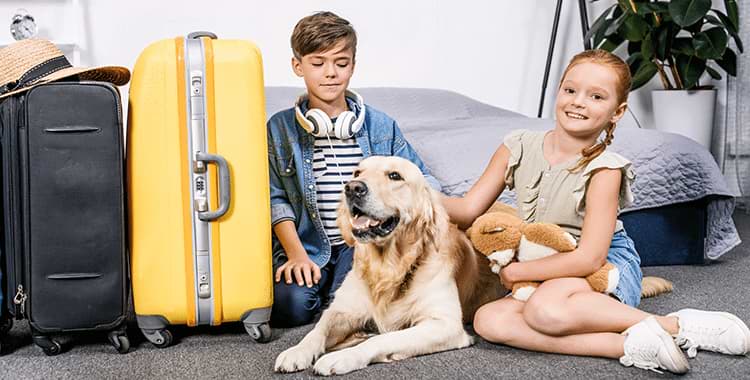 images-Relocating With Dogs Or Cats