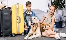 Relocating With Dogs